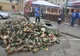 FOTO+VIDEO Dezastru ecologic, în canalul Timiș din municipiul Brașov