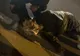 VIDEO+FOTO Jandarmii i-au salvat viața unui bătrân