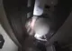 VIDEO Filmul percheziției de la domiciliul familiei consilierului județean Andrei Kadas