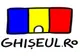 Primăriile din România trebuie să fie înrolate în platforma ghiseul.ro până pe 25 august