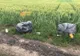 FOTO+VIDEO Bărbați filmați în timp ce aruncau deșeuri la marginea unei rezervații naturale din județul Brașov