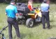 FOTO Brașovenii și turiștii au sunat de 16 ori la 112, pentru a anunța prezența unor animale sălbatice, în ultimele zile