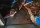 VIDEO+FOTO Nereguli descoperite de OPC Brașov la un restaurant pescăresc din Prejmer! Amendă de 20.000 de lei