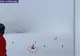VIDEO Pui de urs, pe pârtia din Predeal