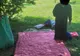 Parcul din Centrul Civic, "asediat" de boschetari! (FOTO)