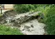 VIDEO Zeci de familii fără gaz şi curent!