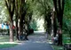 A fost aprobat regulamentul de folosire a spațiilor verzi! Modificări importante în parcurile din municipiul Brașov