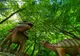 Dino Parc Râșnov, în top 50 destinații de vizitat în Europa