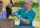FOTO+VIDEO De astăzi, la Zoo Braşov puteți admira singurii pui de panda roşu din România