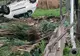 FOTO Un puști de 17 ani s-a urcat băut la volan și a provocat, înainte de răsărit, un accident rutier cu victime!