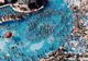 VIDEO Imagini fabuloase, horă în piscină cu 5.000 de oameni, la un complex din Brașov