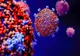 Bilanț coronavirus 14 septembrie:  3.929 de cazuri noi 