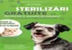 Campanie de sterilizare gratuită a câinilor și pisicilor din Făgăraș