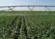 Fonduri de 105 milioane de euro pentru proiecte de infrastructură agricolă și silvică