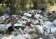 VIDEO Focar de infecție la marginea cartierului Stupini