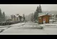 VIDEO Ninge în Poiana Braşov!