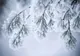 Cum va fi vremea de Crăciun şi Revelion. Prognoza meteo pentru următoarele patru săptămâni
