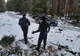 Cetina furată din pădure le-a adus o amendă de 17.000 de lei