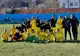 Juniorii FC Braşov U16, printre cei mai buni din ţară