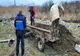VIDEO Amendați cu 8.000 de lei pentru că au aruncat gunoi de grajd în râu
