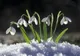 Vremea 16 februarie - Temperaturile în creștere. Unde va fi cel mai cald