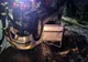 Accident cu 4 victime, azi-noapte, pe DN1E