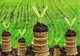Sprijin de peste 1 miliard de lei pentru fermierii din sectoarele vegetal şi zootehnic