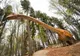 Jumătate de milion de turiști au ales Dino Parc Râșnov în 2021