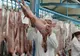 Cum se deosebeşte carnea de miel de cea de câine - Anunțul făcut de ANSVSA