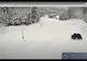 VIDEO Urs pe pârtie, în Poiana Brașov