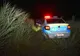VIDEO+FOTO 3 bărbați acuzați de braconaj au ajuns în arestul Poliției Brașov
