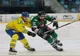 HOCHEI: Corona Brașov, o victorie și un eșec, la final de săptămână, în Erste Liga!