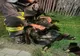 Câine salvat de pompierii braşoveni