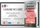 Lansarea cărţii “Braşovul în perioada stalinistă”, sâmbătă, la Biblioteca Județeană din Brașov