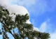 Când vin ninsorile în România - meteorologii au anunțat ce fel de iarnă vom avea