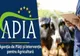 Fraudă cu fonduri de la APIA în valoare de peste 430.000 de lei