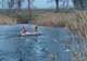 VIDEO 3 câini salvați de la înec de pompierii brașoveni
