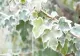 Vremea 20 decembrie - Ce temperaturi se vor înregistra astăzi