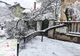 Brașovul sub cod portocaliu de ninsori – zeci de copaci prăbușiți, deszăpezire continuă în ultimele 36 de ore
