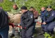 VIDEO + FOTO Mobilizare de urgență a autorităților, la Brașov. Un cerb rătăcit printre blocuri, lângă o școală, a fost capturat și eliberat în pădure