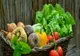Statul subvenționează fermierii, dar nu verifică otrava. Ce pericole se ascund în alimentele populare