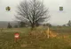Minor forțat să lucreze la o stână din județul Brașov și să abandoneze școala! 5 percheziții au loc în județul Brașov, într-un dosar de trafic de minori
