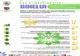 „ÎN CĂUTAREA BINELUI" - o călătorie personală și profundă către starea de bine, o nouă ofertă de educație estivală!