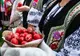 ÎNCONDEIEREA OUĂLOR – ARTĂ ȘI TRADIȚIE ÎN SATELE DIN JURUL BRAȘOVULUI