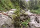 JUDEȚUL BRAȘOV, MĂTURAT DE PLOILE TORENȚIALE. MAI MULTE CĂI DE ACCES ȘI PODEȚE AU FOST DISTRUSE