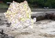 ALERTĂ HIDROLOGICĂ! COD PORTOCALIU ȘI COD GALBEN PE MAI MULTE RÂURI DIN SUDUL ȘI SUD-ESTUL ȚĂRII