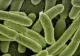 Apă contaminată cu E-Coli în Covasna