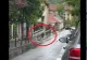 Urs surprins alergând pe un trotuar din Brașov, în zona Facultății de Silvicultură VIDEO