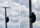 Urs filmat pe un stâlp de electricitate la marginea Brașovului. Imaginile au devenit virale - VIDEO