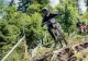 50% reducere pentru brașoveni la transportul cu telegondola în Bike Park Postăvarul
